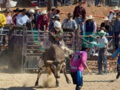 Anuncia SMADS que revisarán condiciones de bienestar animal en próximos rodeos