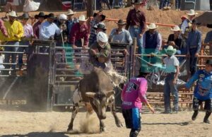 Anuncia SMADS que revisarán condiciones de bienestar animal en próximos rodeos