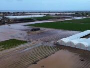 Reportan pérdidas millonarias en el campo de Maneadero tras impacto de “Rachel”