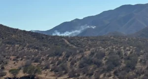 Continúa activo un incendio forestal en San Vicente
