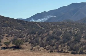 Continúa activo un incendio forestal en San Vicente